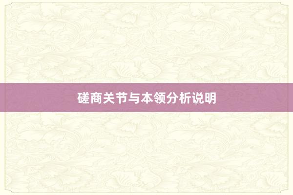 磋商关节与本领分析说明